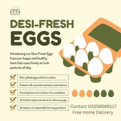 Desi Fresh Eggs