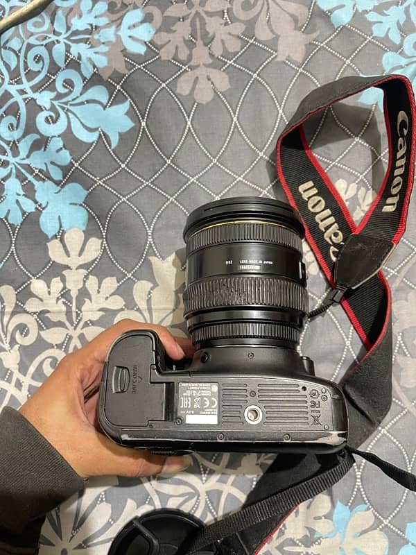 Canon 6D | With 24-70mm 2.8 Aperture Sigma Lens 2