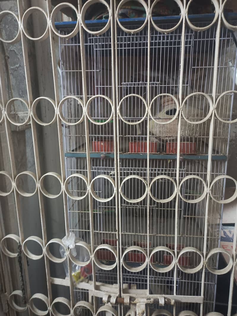 Cages Pinjray for parrots 1