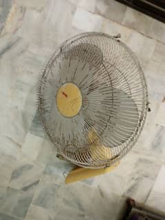 Royal Bracket Fan