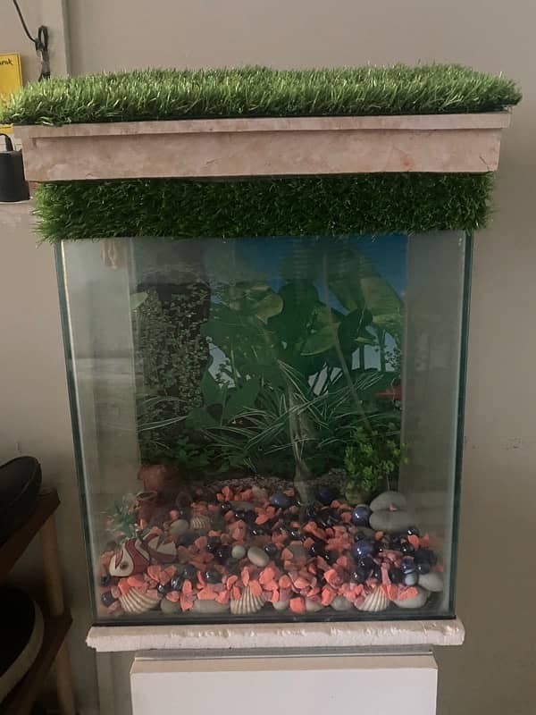 Fish Aqurium for Sale 2