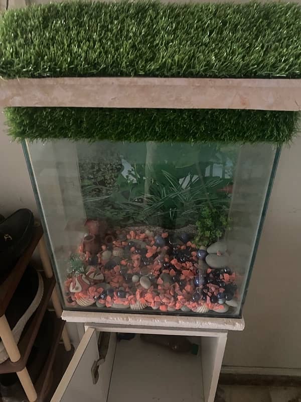 Fish Aqurium for Sale 3