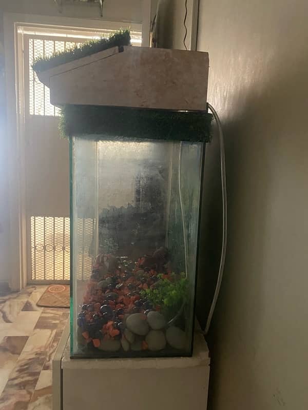 Fish Aqurium for Sale 5