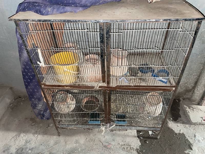 a cage 2  sections with pair of parrot 0