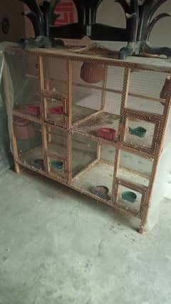 1 cage with 5 pairs of lovebirds deal