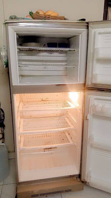 PEL ARCITIC FRIDGE 2