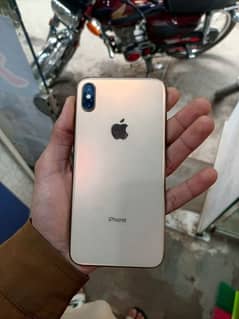 XS Max