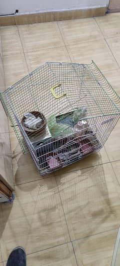 Bird cage for sale