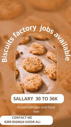 innovative biscuits factory biscuits packing work available in lahore