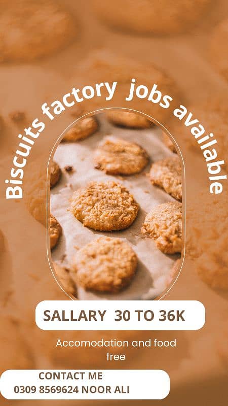 innovative biscuits factory biscuits packing work available in lahore 0