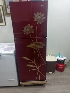 Red fridge orient