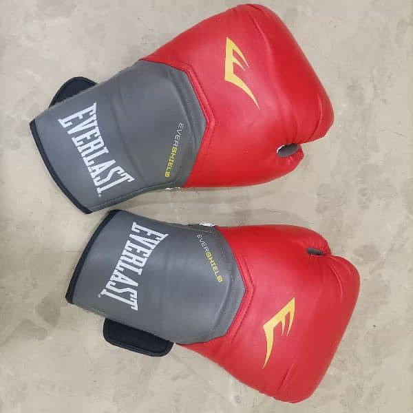 Everlast 14oz Boxing Gloves Almost new 10/9 condition 0