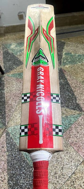 English Willow Hard Ball Bat 2