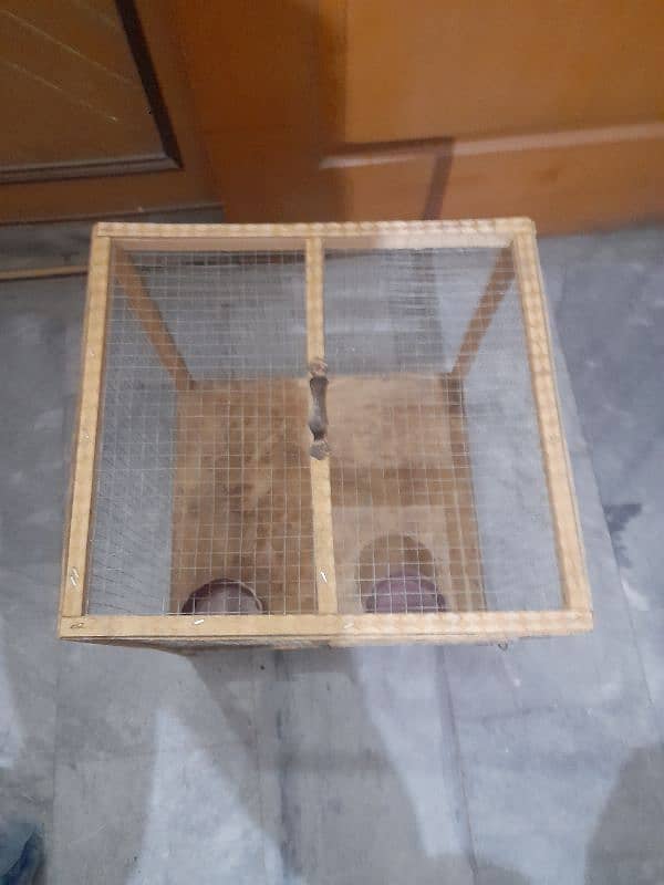 wooden cage for aseel,hens,birds,rabbits and cat 1