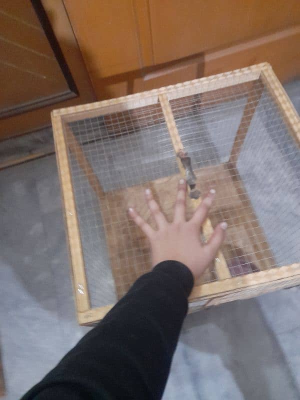 wooden cage for aseel,hens,birds,rabbits and cat 3