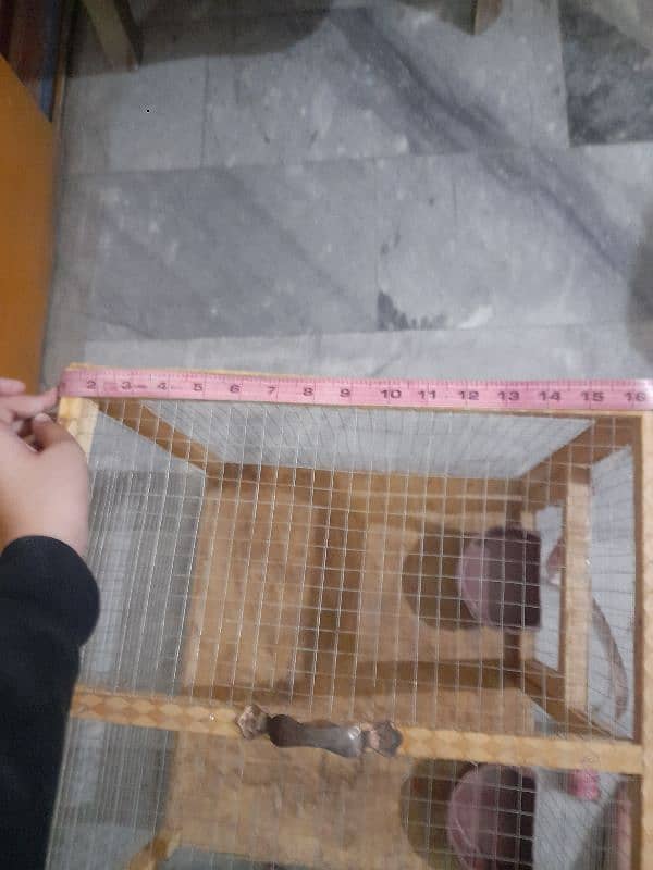 wooden cage for aseel,hens,birds,rabbits and cat 4