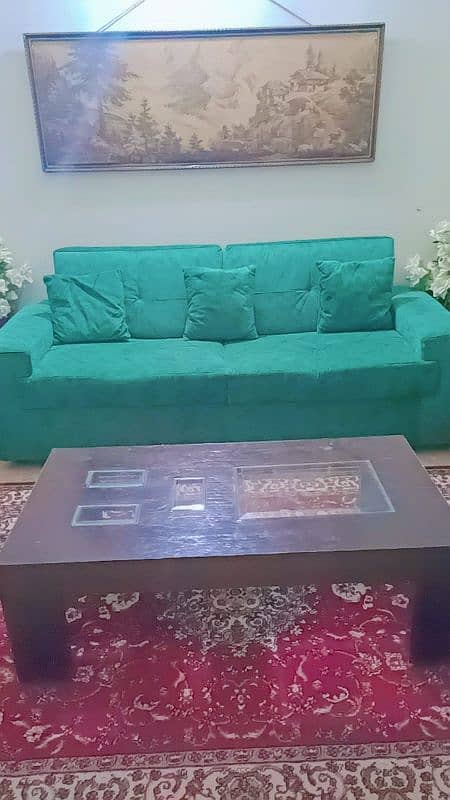 Luxurious Sofaset 3