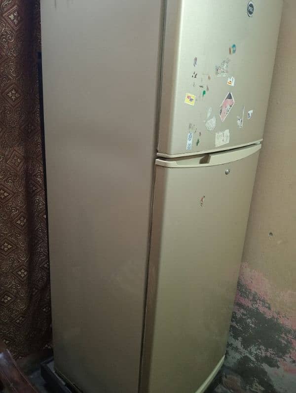 Large Pell Refrigerator 1