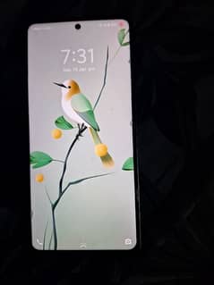 vivo y36  8gb 256 gb