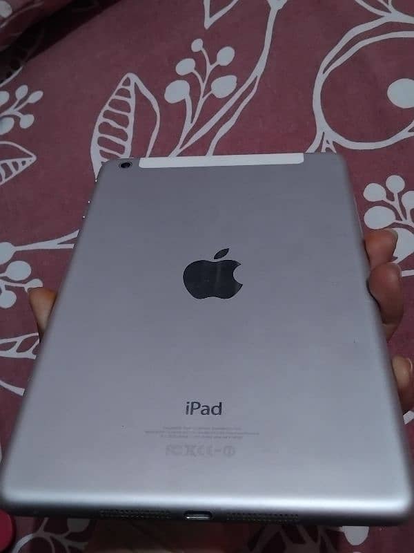 ipad mini 4  All okay 4