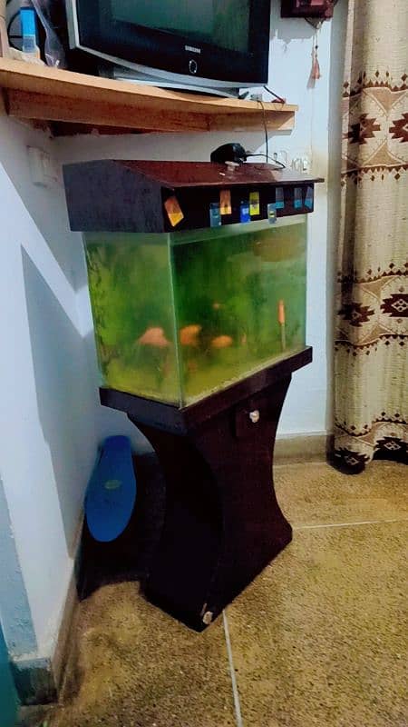 fish with aquarium 1