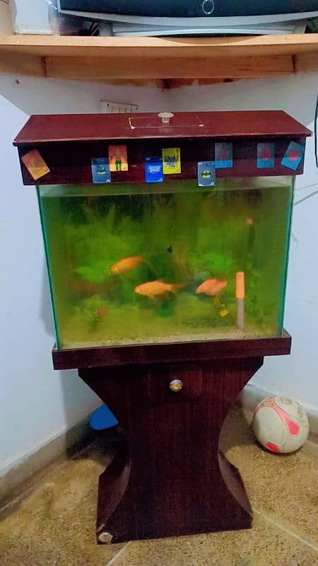 fish with aquarium 2