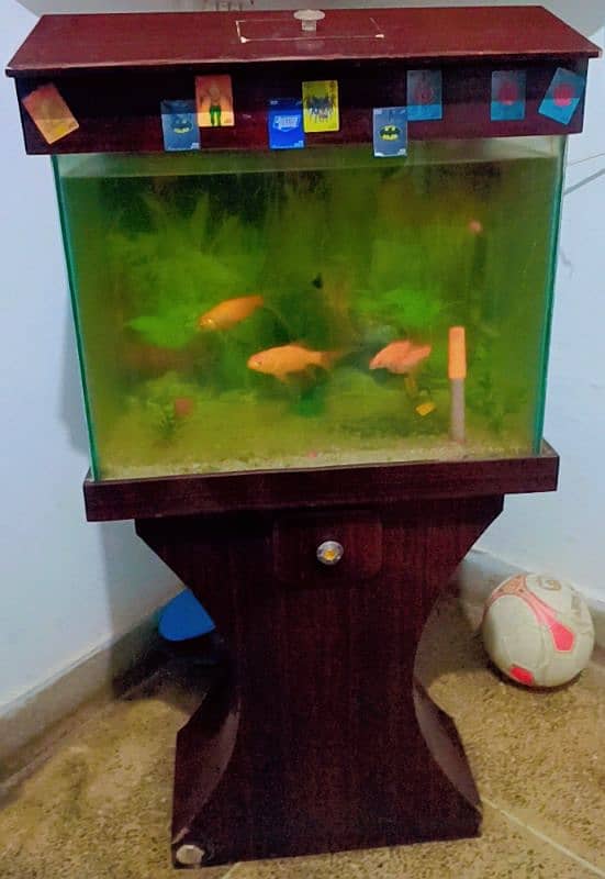 fish with aquarium 3