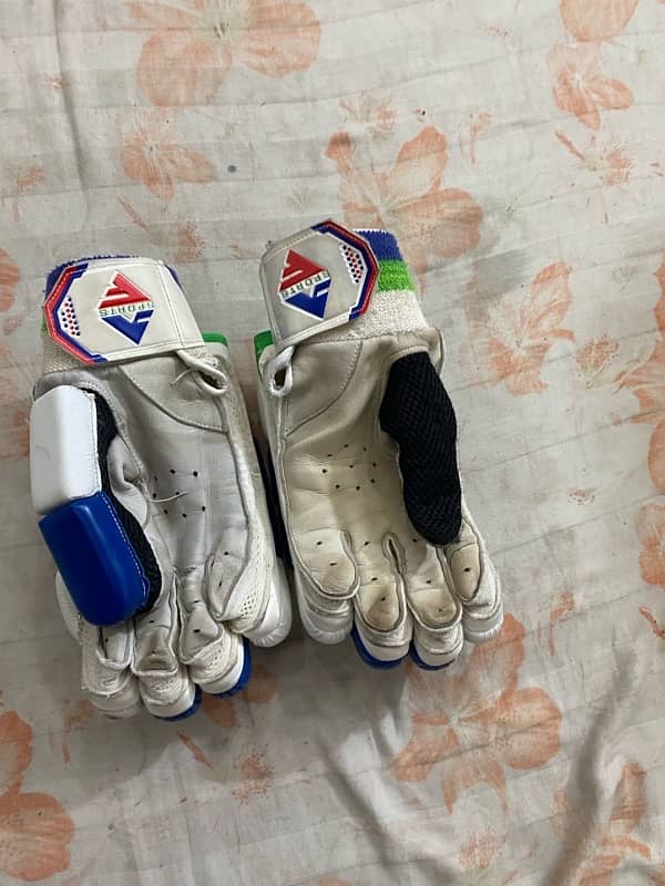 Hard ball cricket kit 1
