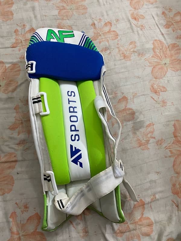 Hard ball cricket kit 5
