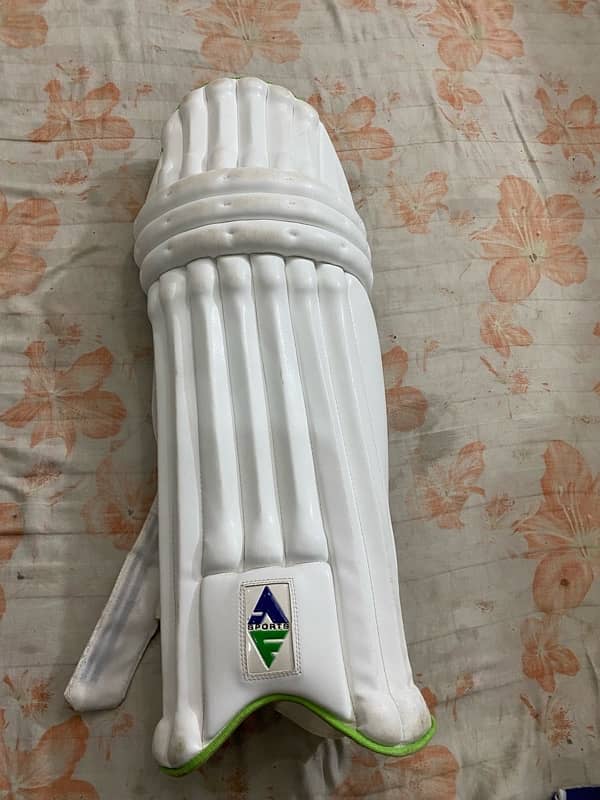 Hard ball cricket kit 6