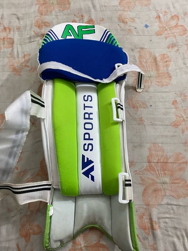 Hard ball cricket kit 7
