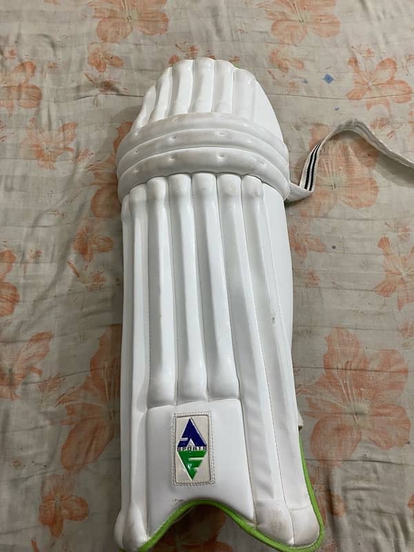 Hard ball cricket kit 8