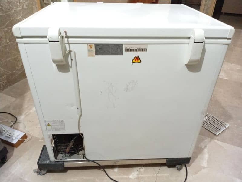 Haier Chest Freezer 3