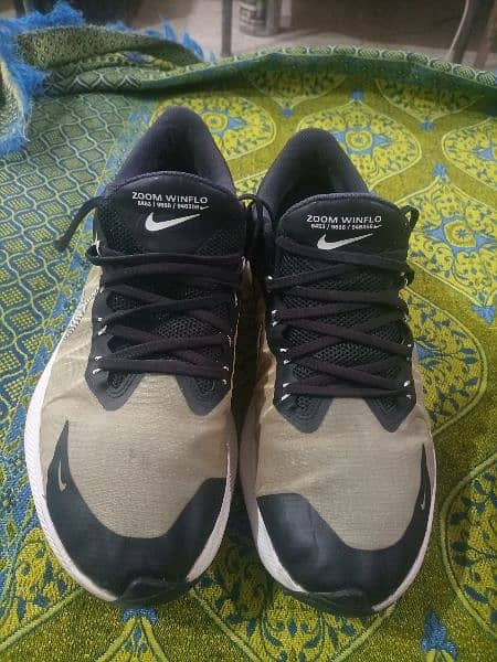 Nike air Zoom, Winflow 1