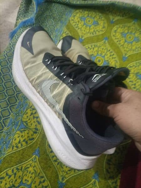 Nike air Zoom, Winflow 2