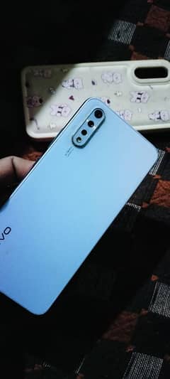 vivo