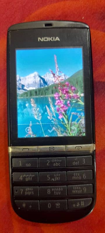 Nokia ASHA 300 9