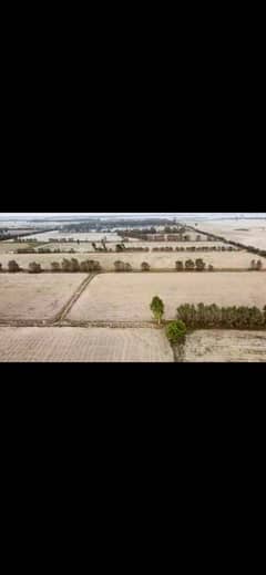 195 acres , 1560 canals Agricultural land with water electricity in M