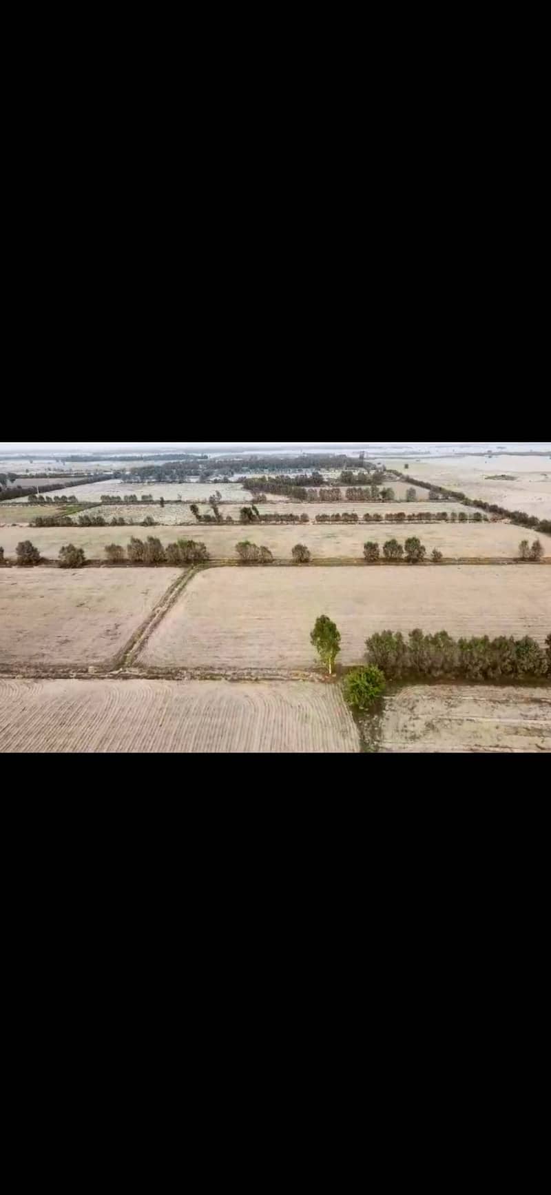 195 acres , 1560 canals Agricultural land with water electricity in M 0