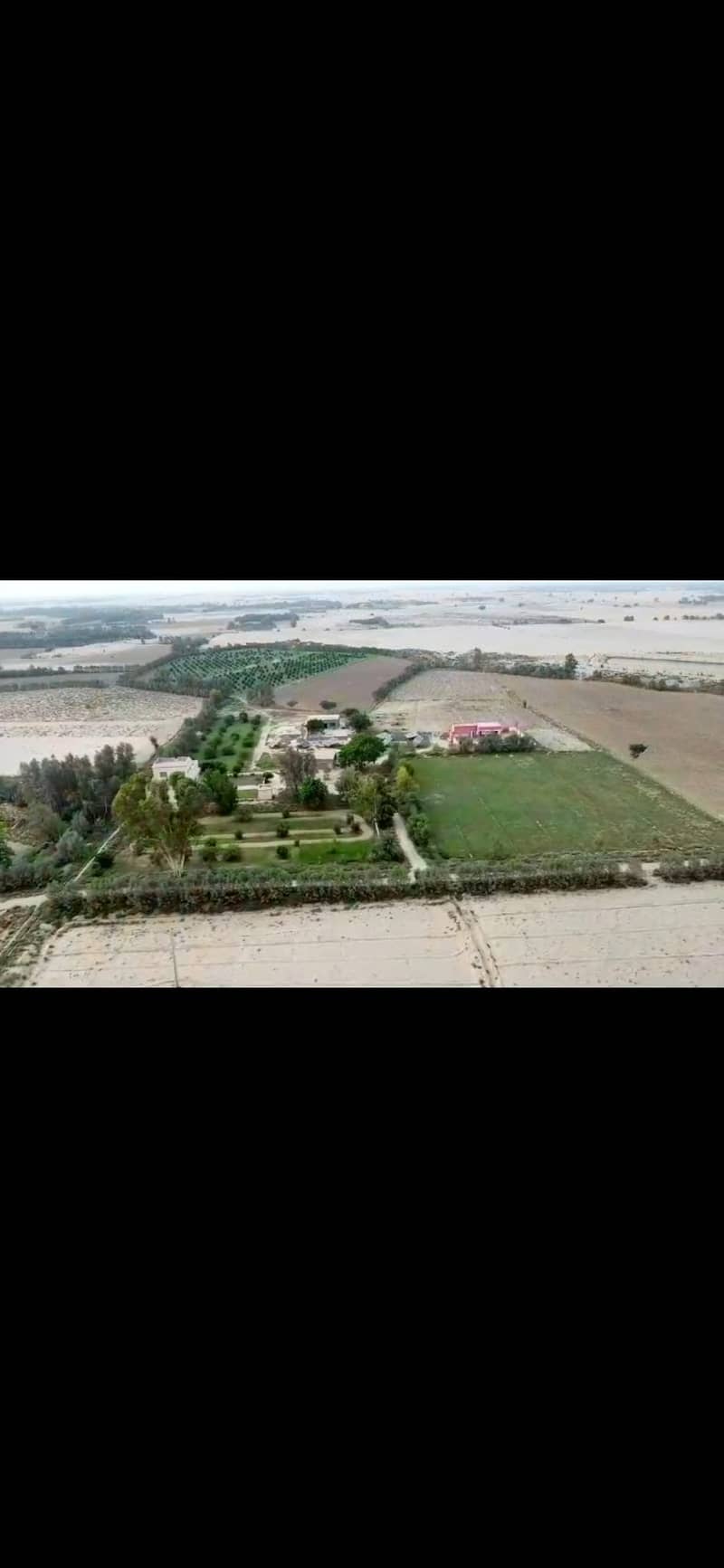 195 acres , 1560 canals Agricultural land with water electricity in M 1