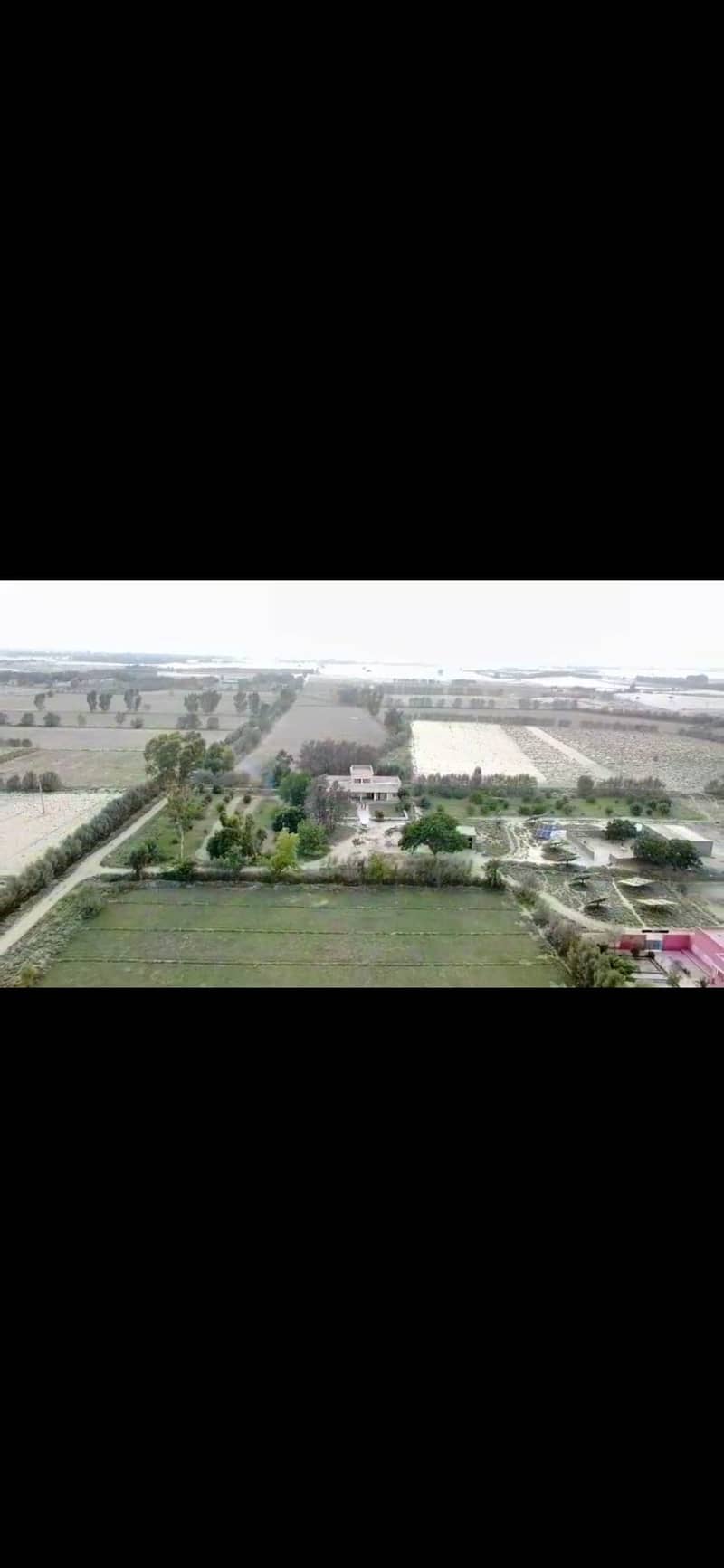 195 acres , 1560 canals Agricultural land with water electricity in M 7