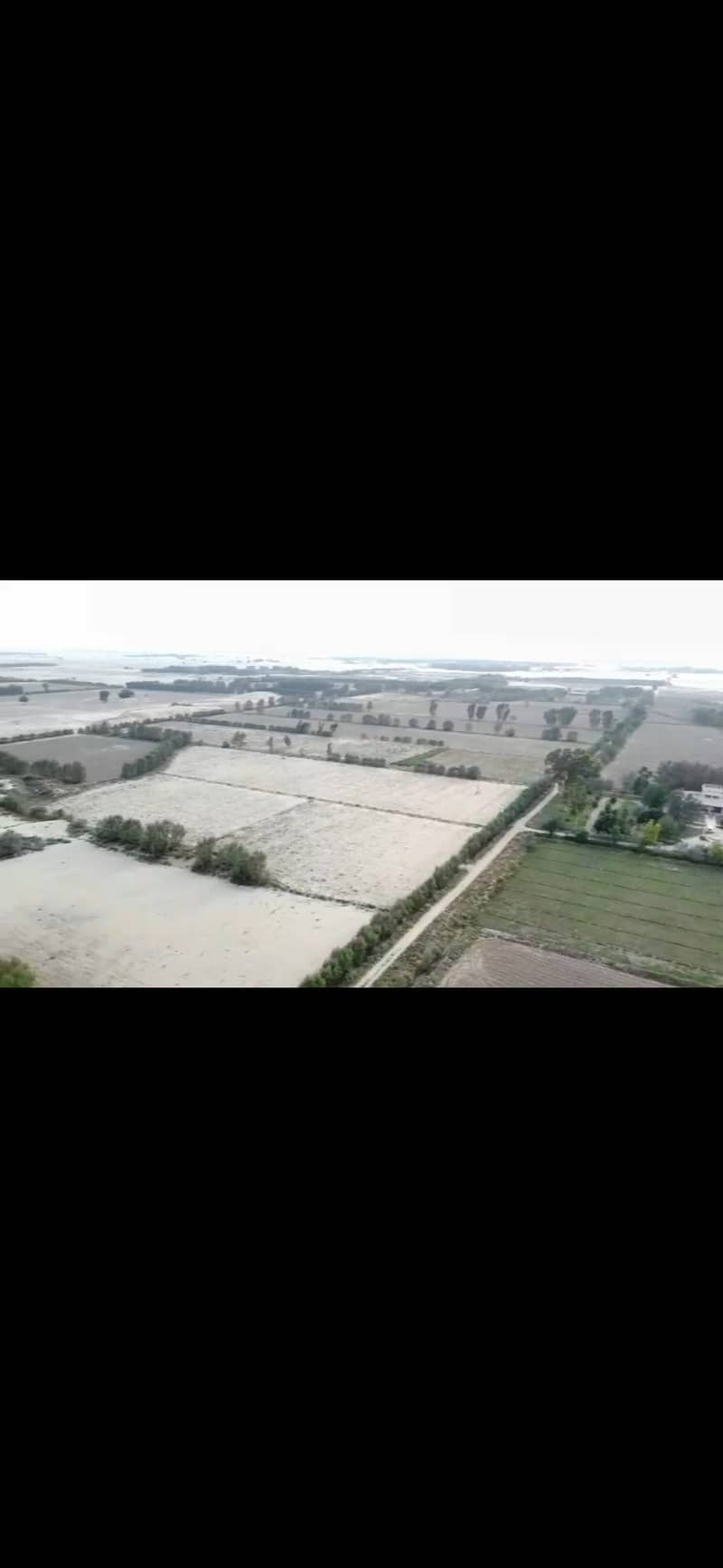 195 acres , 1560 canals Agricultural land with water electricity in M 9