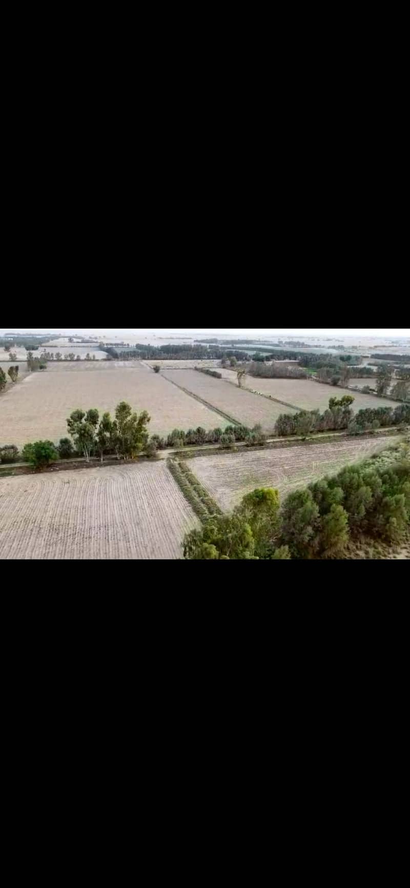 195 acres , 1560 canals Agricultural land with water electricity in M 14