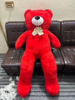 teady bear for sale in reasonable price urgent sale