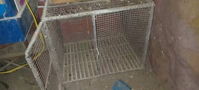 Hen cage for sale,size 4×4