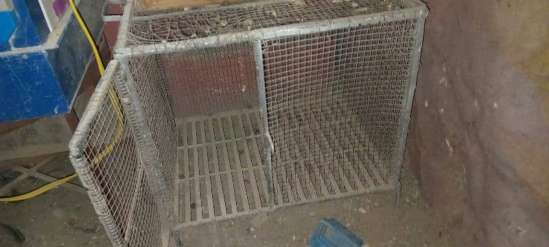 Hen cage for sale,size 4×4 0