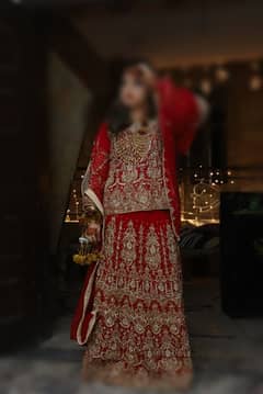 bridal cheffon red lehnga