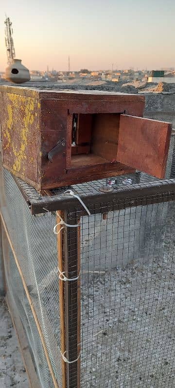 love birds / pigeons Breeding cages and breeding boxes for sale 4