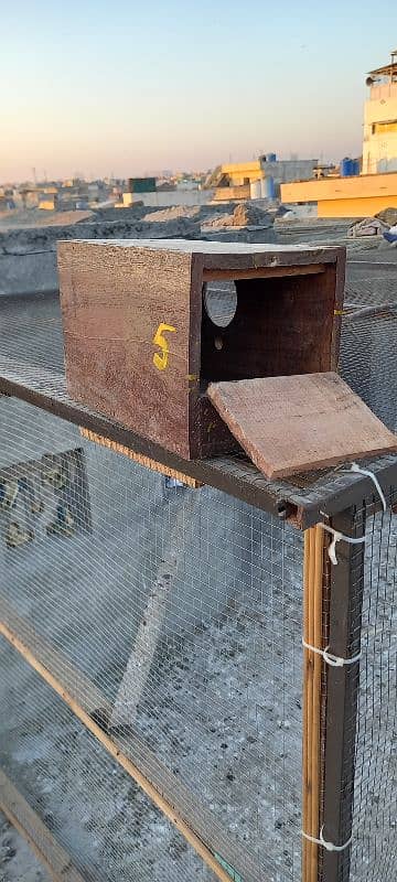 love birds / pigeons Breeding cages and breeding boxes for sale 5