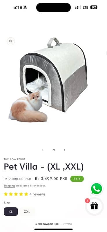 cat warm house new 2